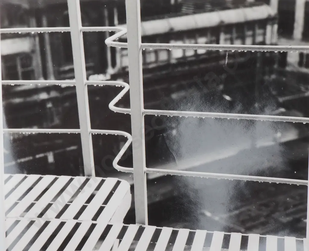 Frederick Lennard Casbolt - Photograph of a Fence Showing Raindrops on Its Wires Image 1++