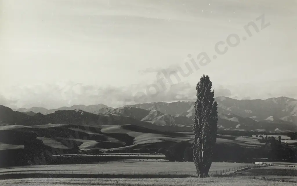 Frederick Lennard Casbolt - Photograph Possibly of the Southern Alps Image 1++