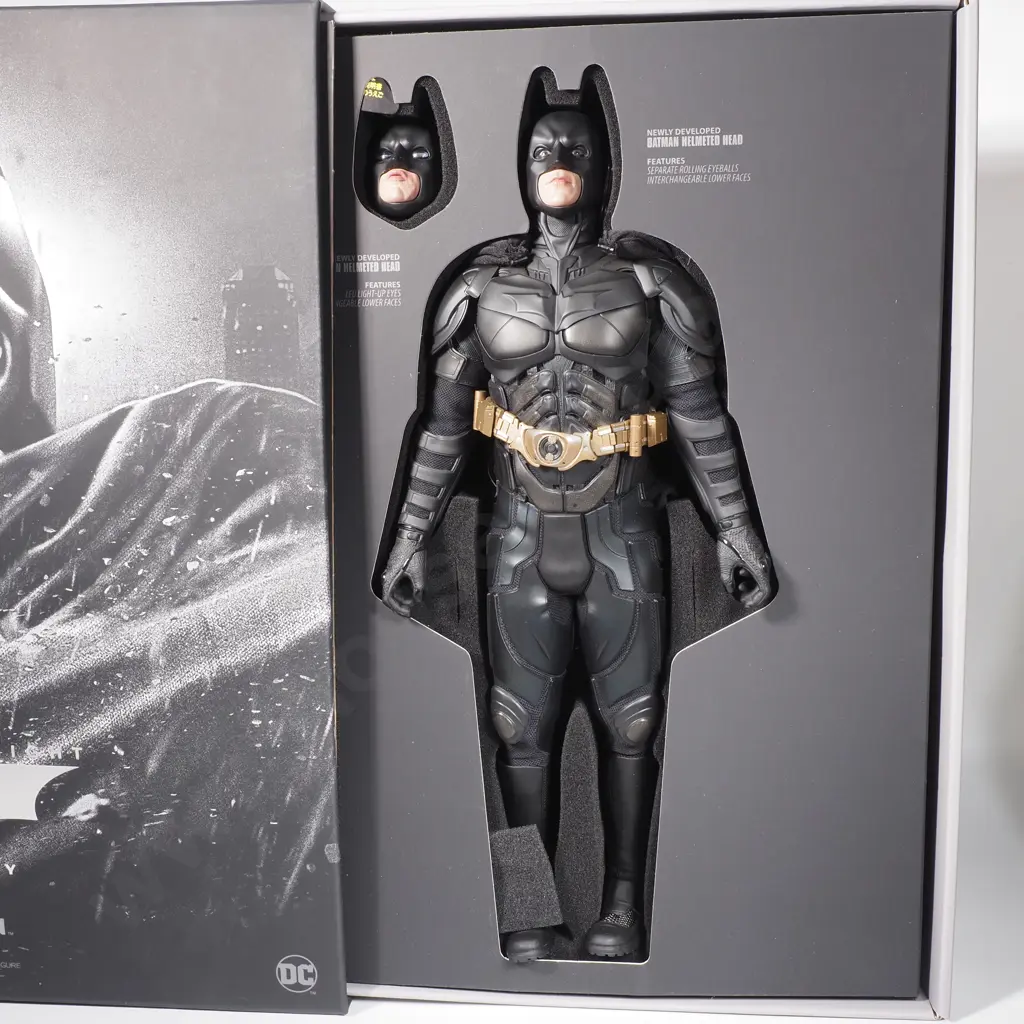 Batman - Defender Of Gotham City 1:6 Image 1++