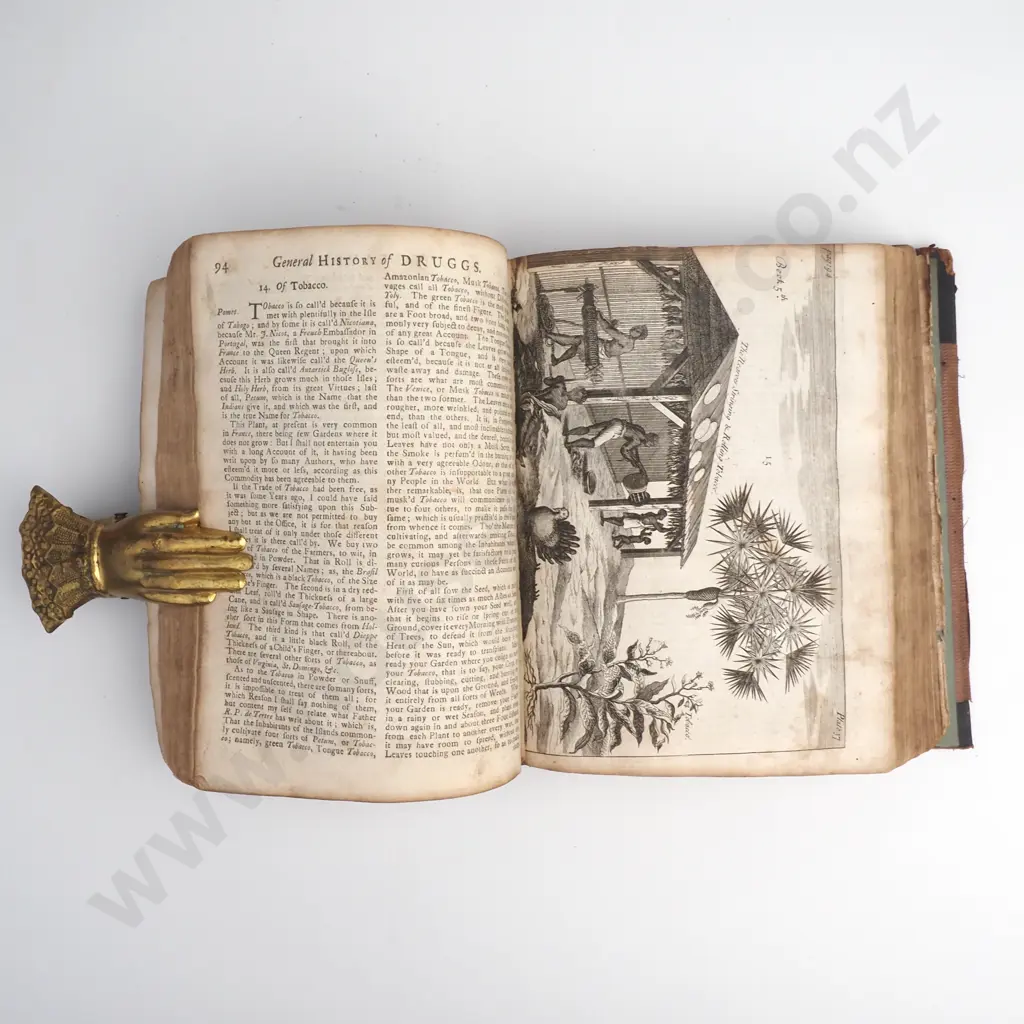 Pomet, Pierre - Pomet's History of Drugs, 4th Edition, One Volume, London, 1748 Image 1++