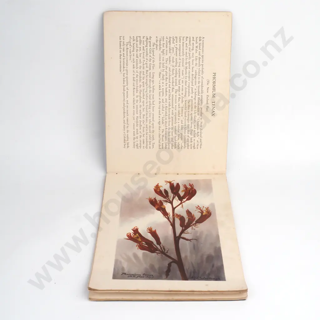 Coleclough, Mabel C. - A Book of New Zealand Flora, Longmans, Green & Co, Ltd., circa 1932 -1936 Image 1++