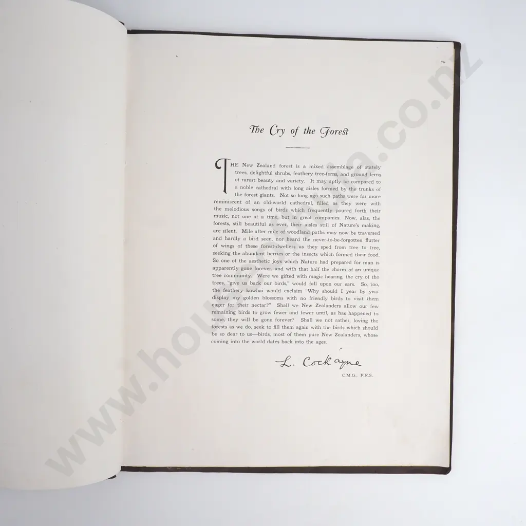 New Zealand Forest Inhabiting Birds, Second Edition, Forest and Bird Protection Society, 1948 Image 1++