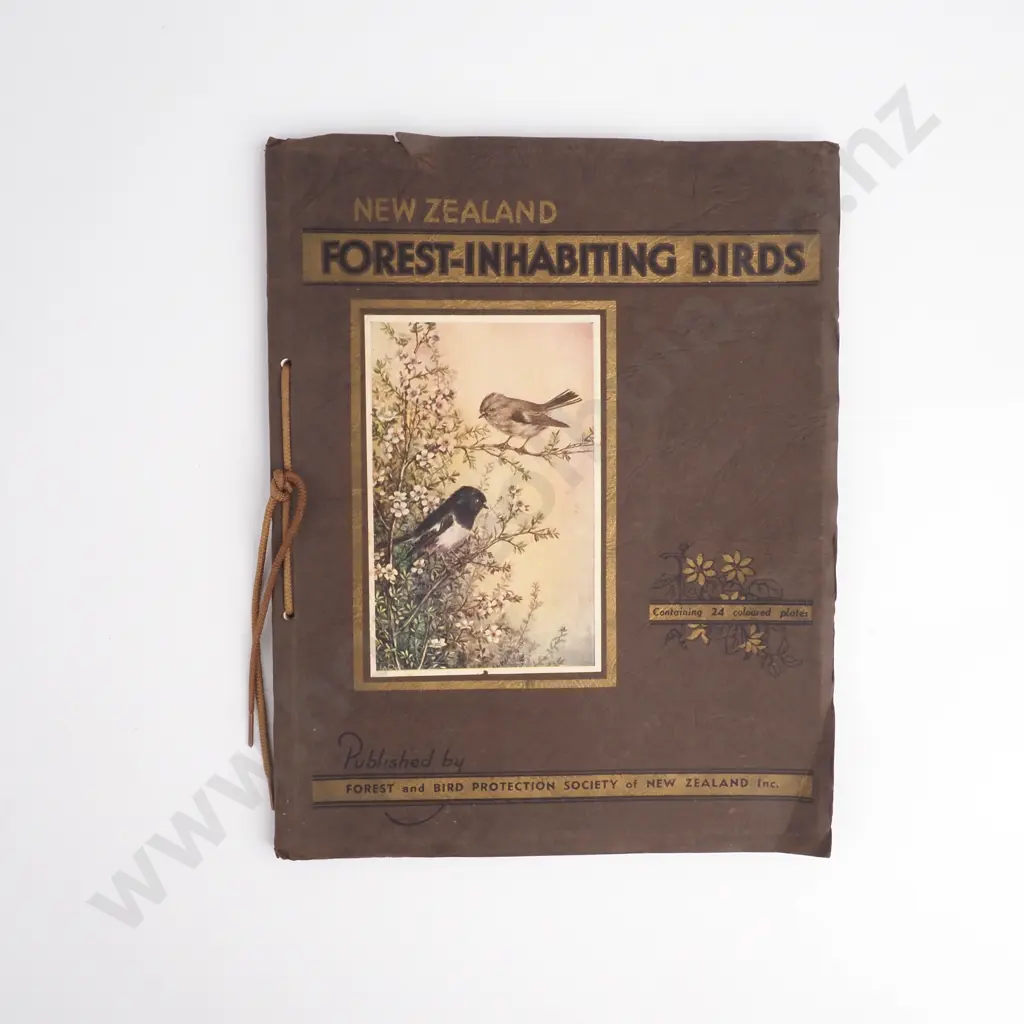 New Zealand Forest Inhabiting Birds, Second Edition, Forest and Bird Protection Society, 1948 Image 1++