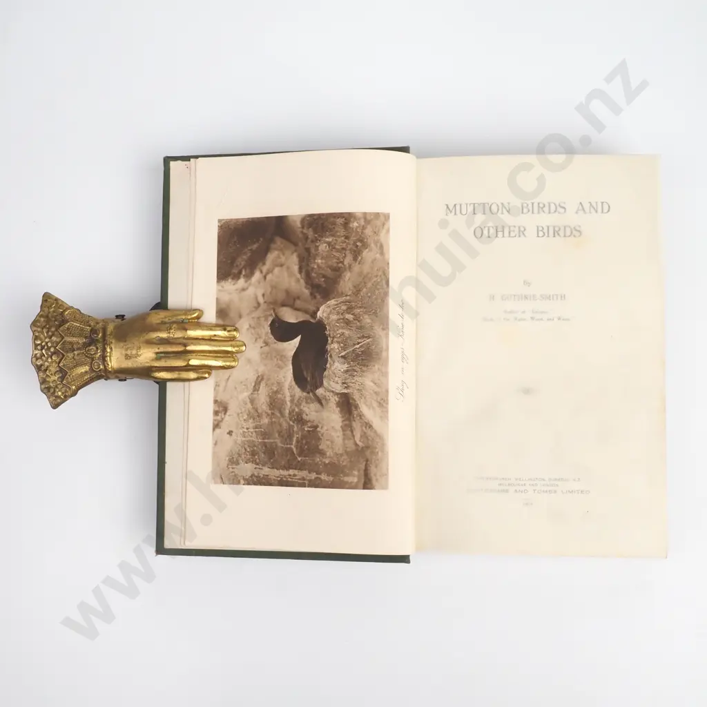 Guthrie-Smith, H -  Mutton Birds & Other Birds, Whitcombe & Tombs Limited, 1914 Image 1++