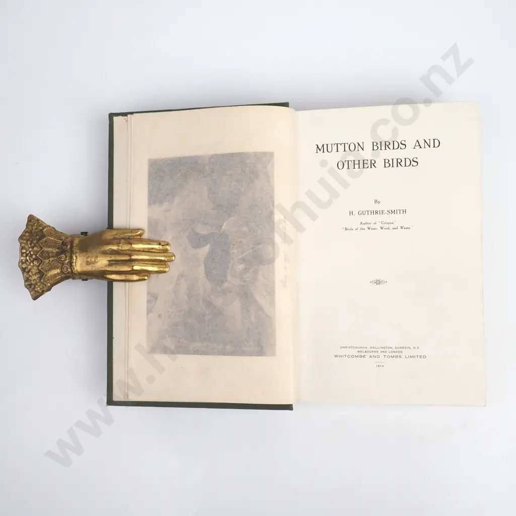 Guthrie-Smith, H -  Mutton Birds & Other Birds, Whitcombe & Tombs Limited, 1914 Image 1++