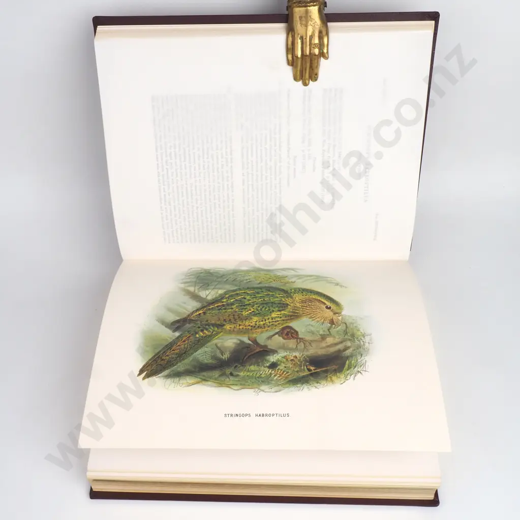 Buller, Walter Lawry  - A History of the Birds of New Zealand, Facsimile Edition, 1983 Image 1++