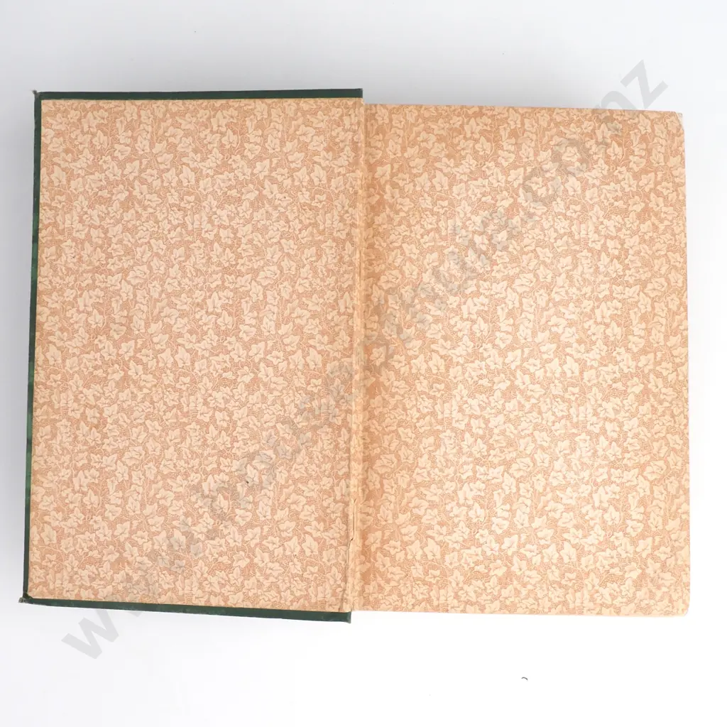 Cheeseman, T.F. - Manual of the New Zealand Flora, Authority of the Government of New Zealand, 1906 Image 1++