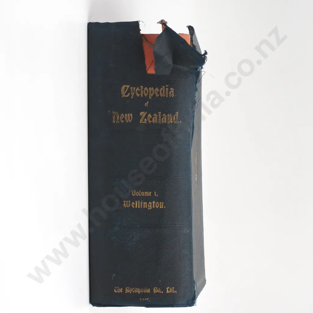 The Cyclopedia of New Zealand, Vol 1, Wellington, Cyclopedia Co, Christchurch, c. 1901 Image 1++