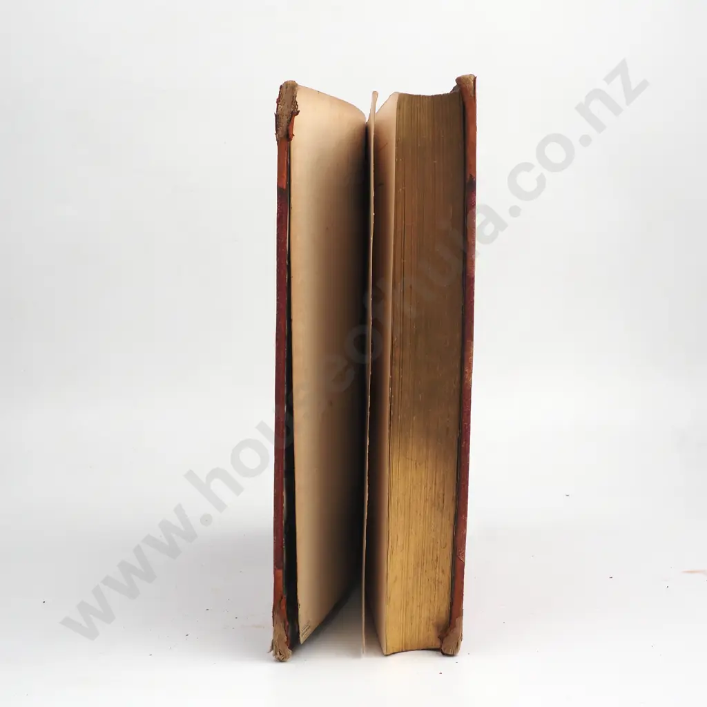 Bracken, Thomas - Musings in Maori-land A Jubilee Volume, First Edition, Arthur T. Keirle, Wellington and Sydney, 1890 Image 1++