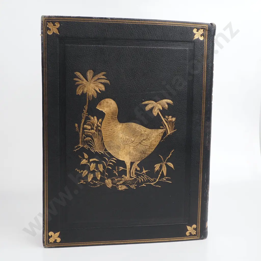 Buller, Walter Lawry, Sr. - A History of the Birds of New Zealand, Vol I & II, Second Edition, The Author, London, 1888 Image 1++