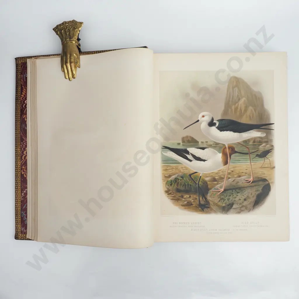 Buller, Walter Lawry, Sr. - A History of the Birds of New Zealand, Vol I & II, Second Edition, The Author, London, 1888 Image 1++