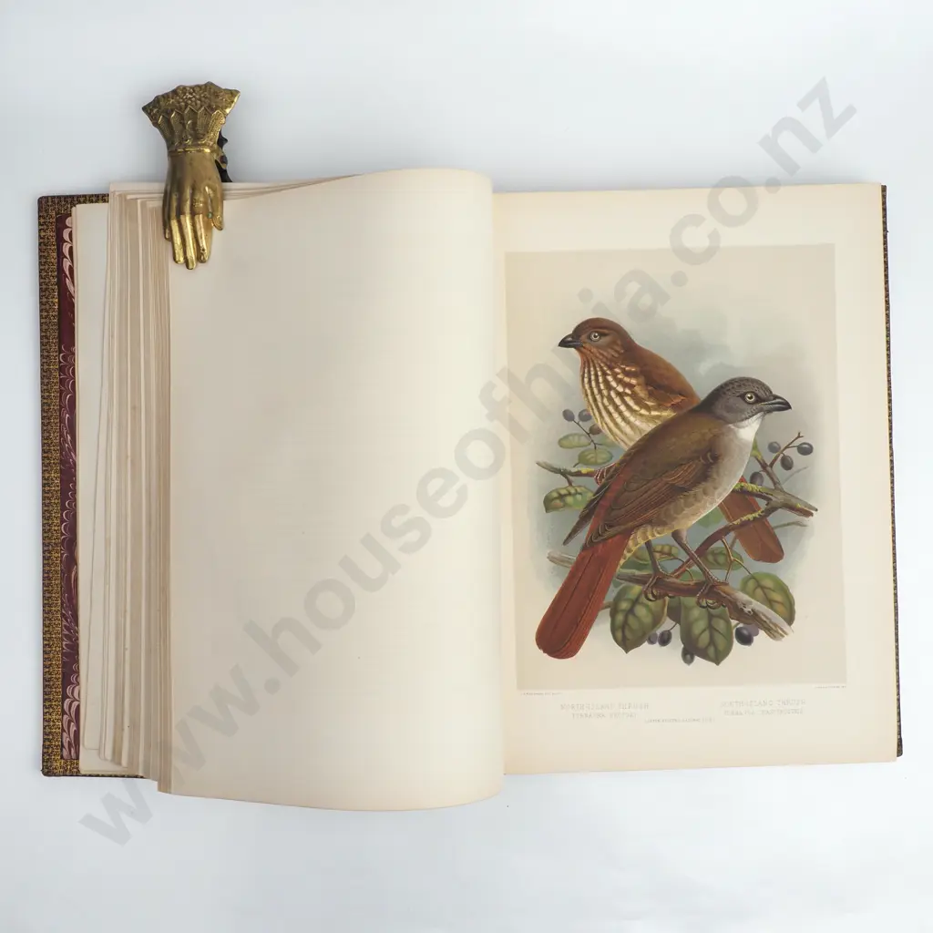 Buller, Walter Lawry, Sr. - A History of the Birds of New Zealand, Vol I & II, Second Edition, The Author, London, 1888 Image 1++