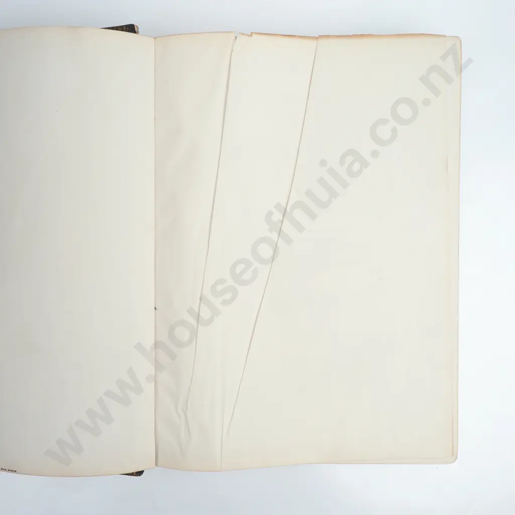 Buller, Walter Lawry, Sr. - A History of the Birds of New Zealand, Vol I & II, Second Edition, The Author, London, 1888 Image 1++