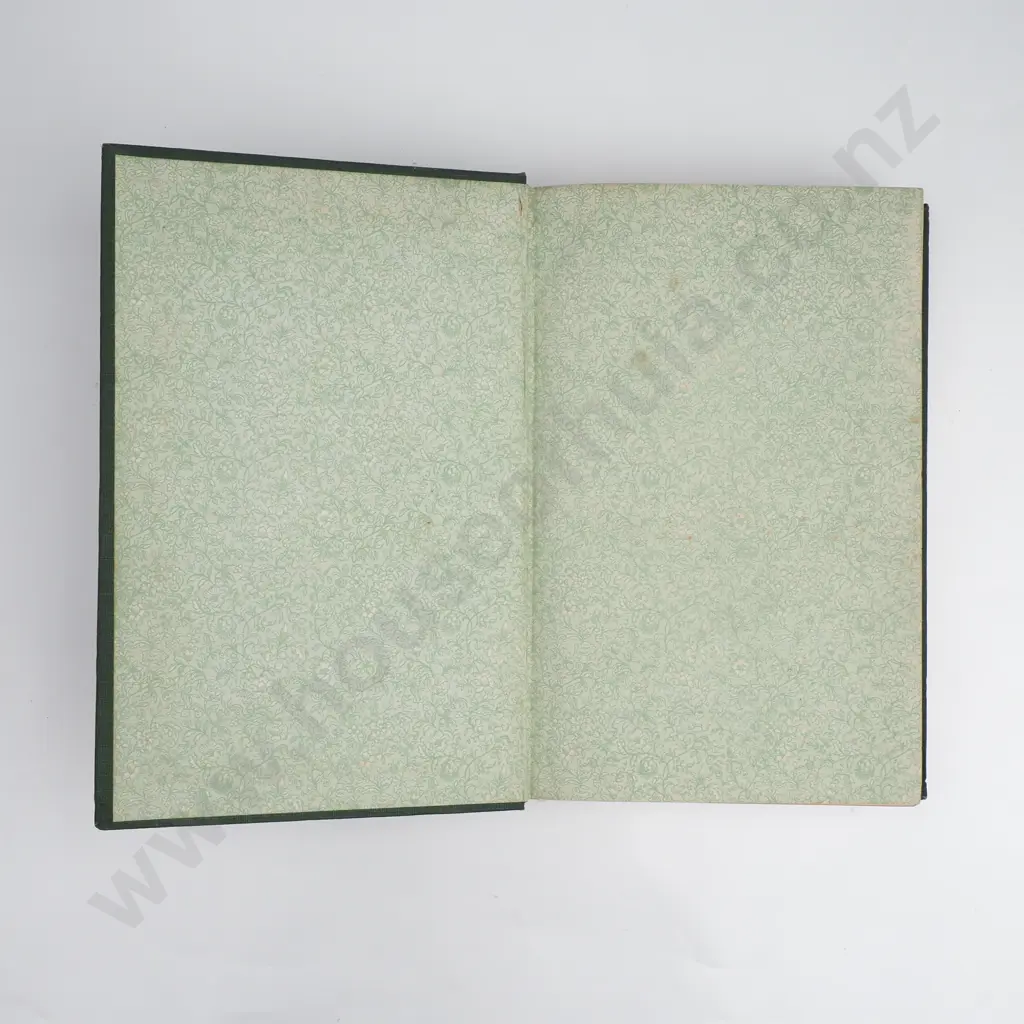 Williams, Herbert - A Dictionary of the Maori Language, Marcus F. Marks, Government Printer, 1921 Image 1++
