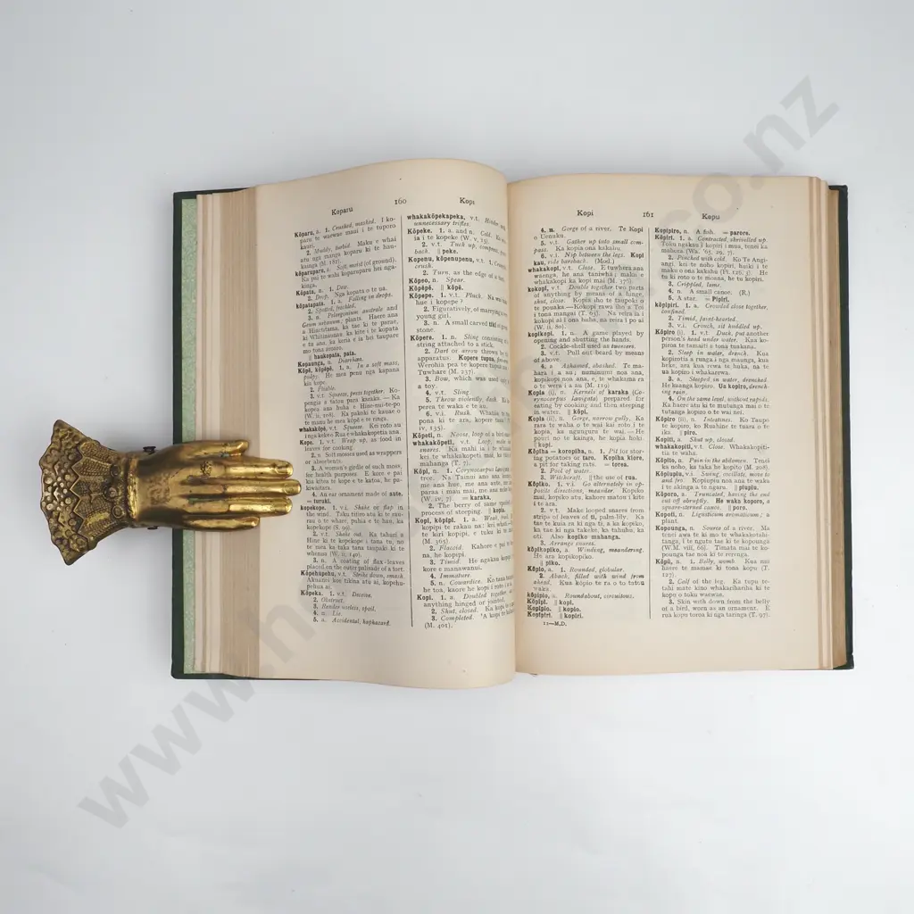 Williams, Herbert - A Dictionary of the Maori Language, Marcus F. Marks, Government Printer, 1921 Image 1++