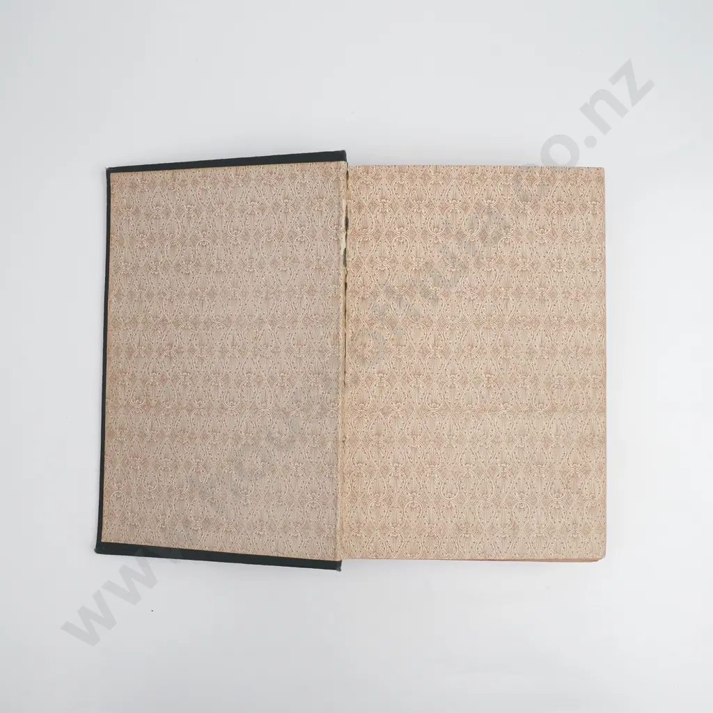 Maoriland An Illustrated Handbook To New Zealand, Limited Edition, George Robertson & Co. Ltd, 1884 Image 1++