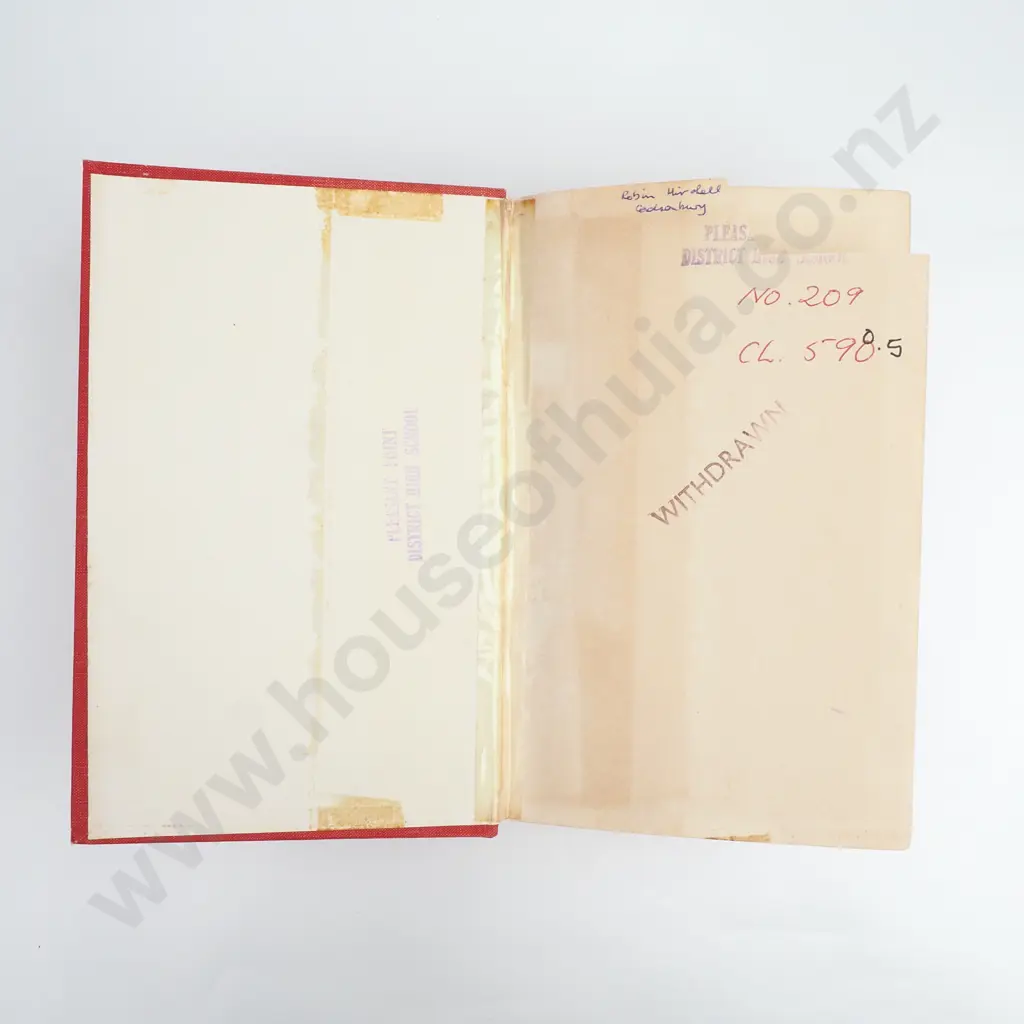 Buick, T. Lindsay - The Mystery of the Moa New Zealand's Avian Giant, First Edition, Thomas Avery & Sons LTD, 1931 Image 1++