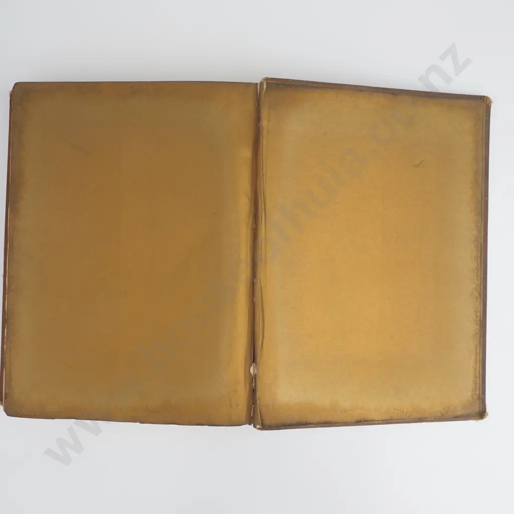 Hind, C. Lewis - Turner's Golden Vision's, TC Jack & EC Jack, London and Edinburgh, c. 1910 Image 1++