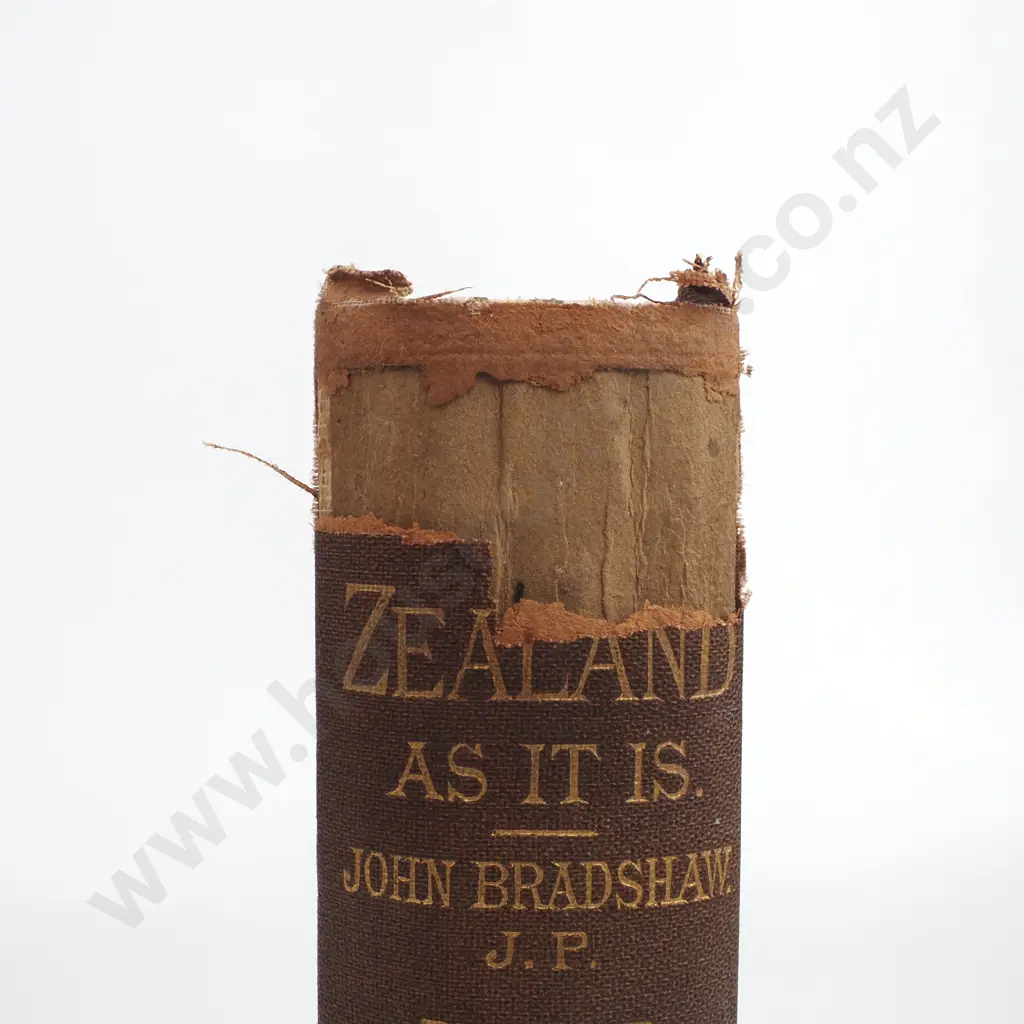 Bradshaw, John; New Zealand As It Is Image 1++