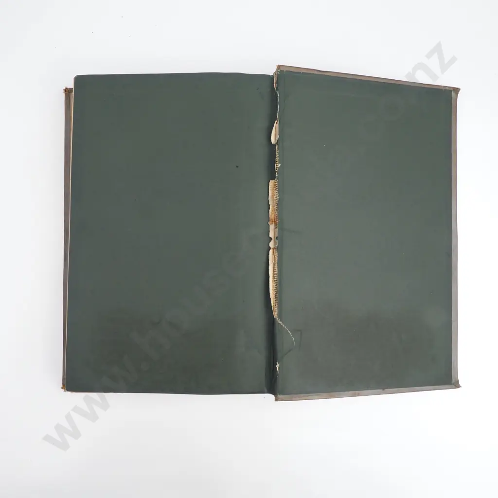 Moore, J. M.; New Zealand for the Emigrant Invalid and Tourist Image 1++