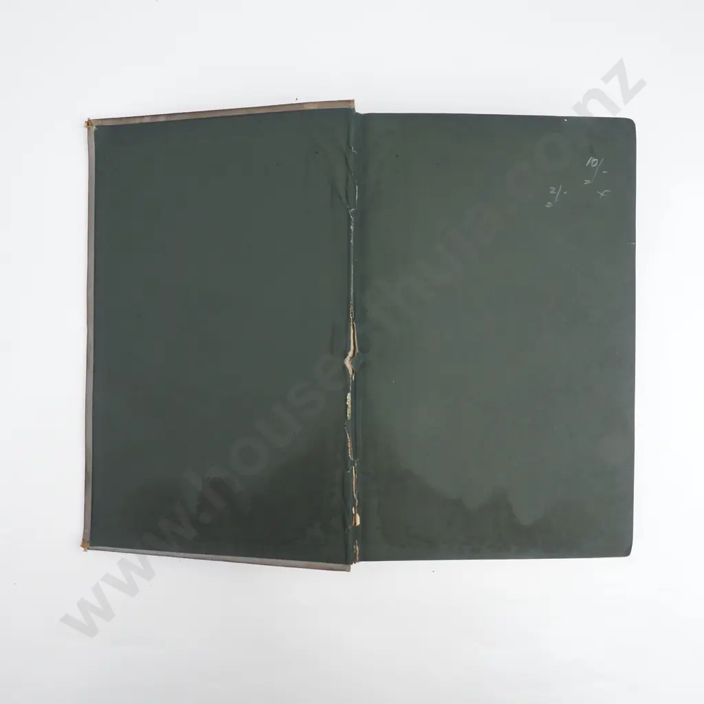 Moore, J. M.; New Zealand for the Emigrant Invalid and Tourist Image 1++