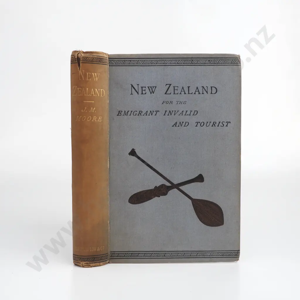 Moore, J. M.; New Zealand for the Emigrant Invalid and Tourist Image 1++
