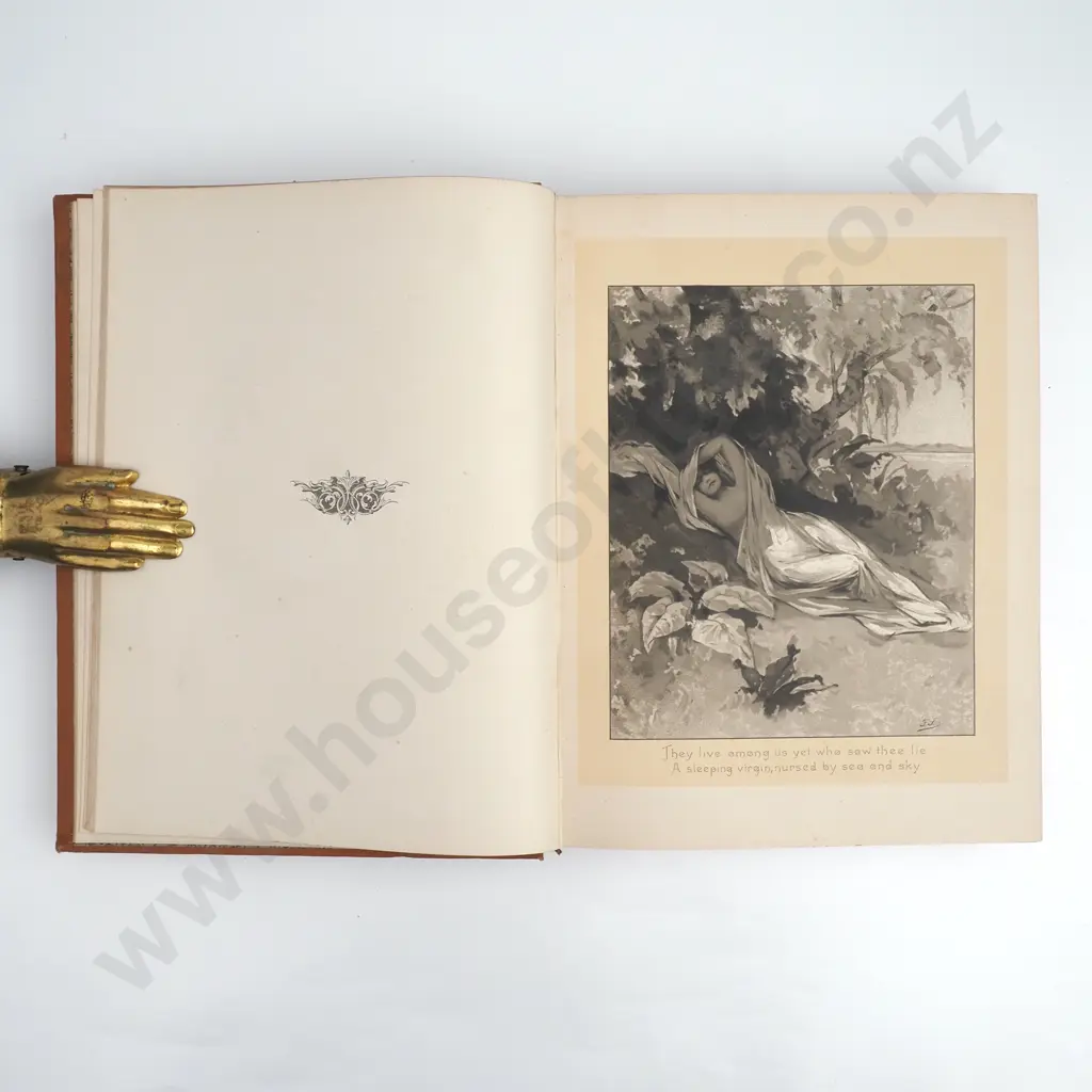 Thomas Bracken  'Musings in Maoriland' Image 1++