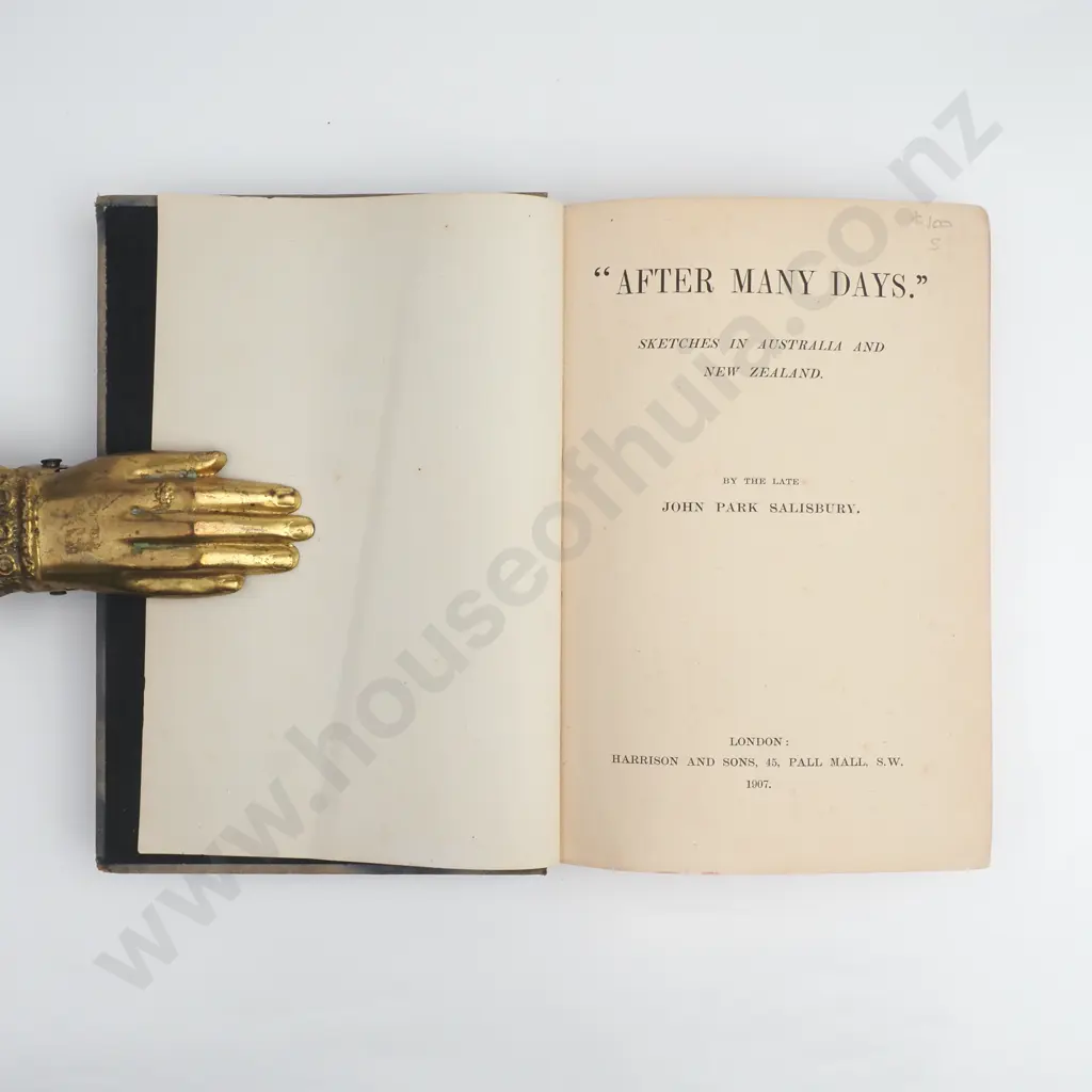 John Park Salisbury - 'After Many Days' Image 1++
