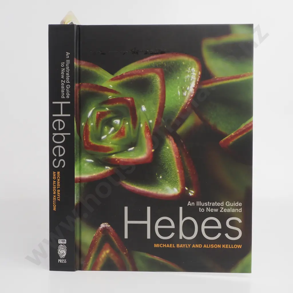 Michael Bailey And Alison Kellow - An Illustrated Guide To New Zealand Hebes Image 1++