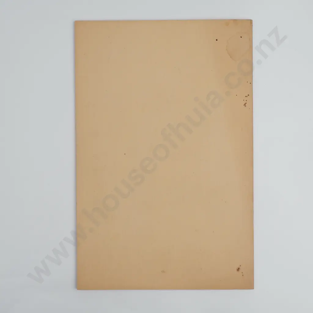 W.A. Taylor - 'Pictographs and Moa Hunters' Image 1++