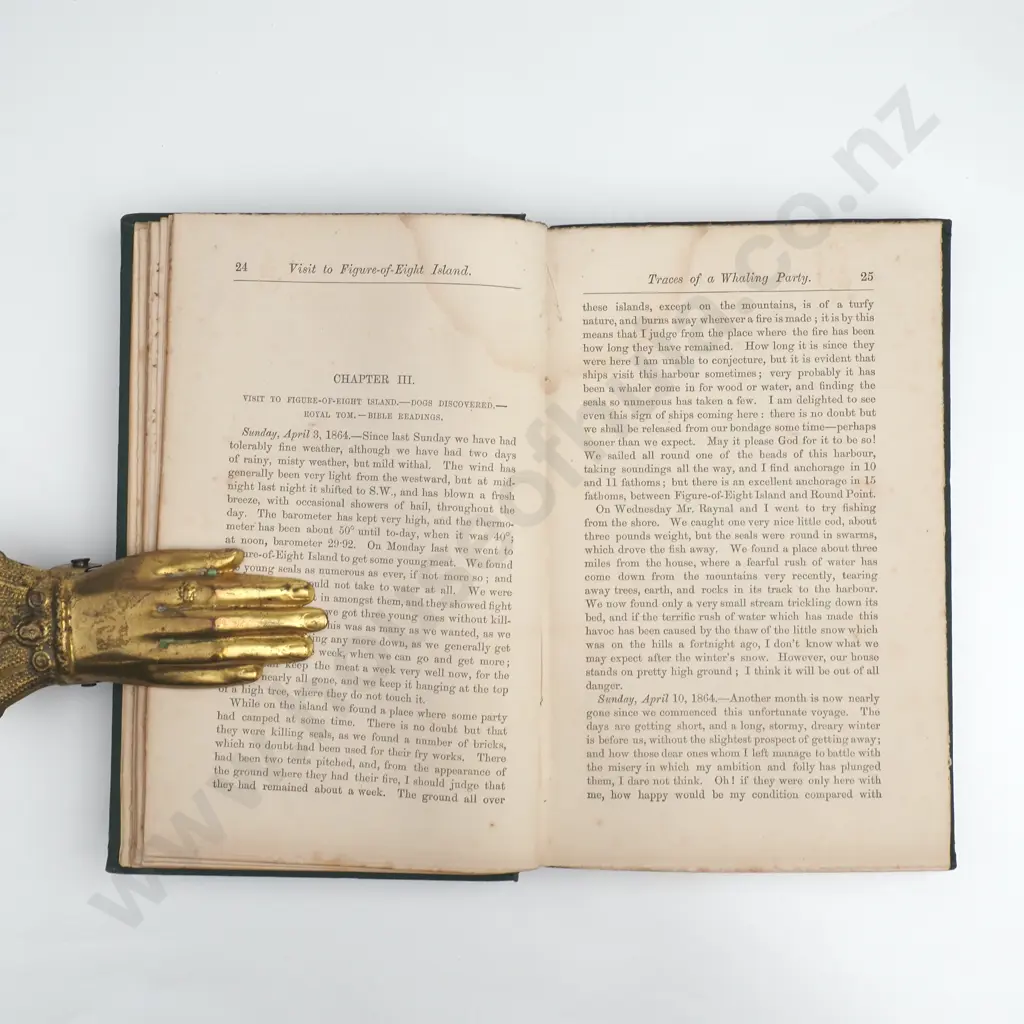 Capt Thomas Musgrove - Castaway on the Auckland Isles, Lockwood & Co, 1866 1st Edition Image 1++