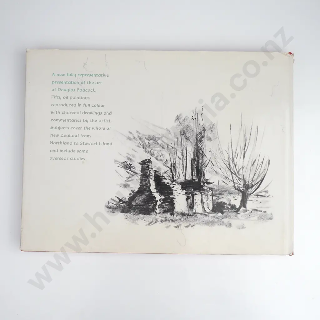 Douglas Badcock - ' My Kind of Painting' - 1978 1st Edition Image 1++