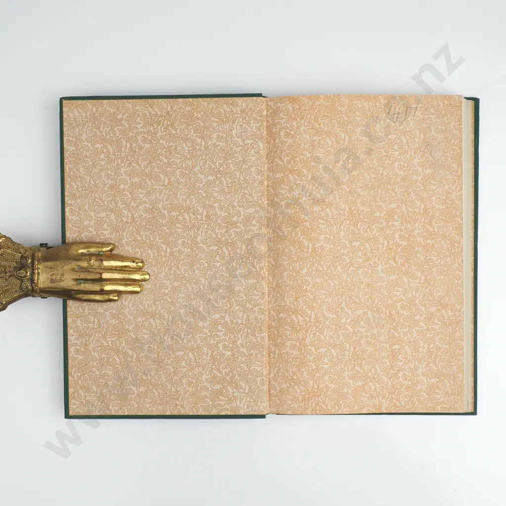 Thompson M, Wild Life in New Zealand, Government Printer, 1921 Image 1++
