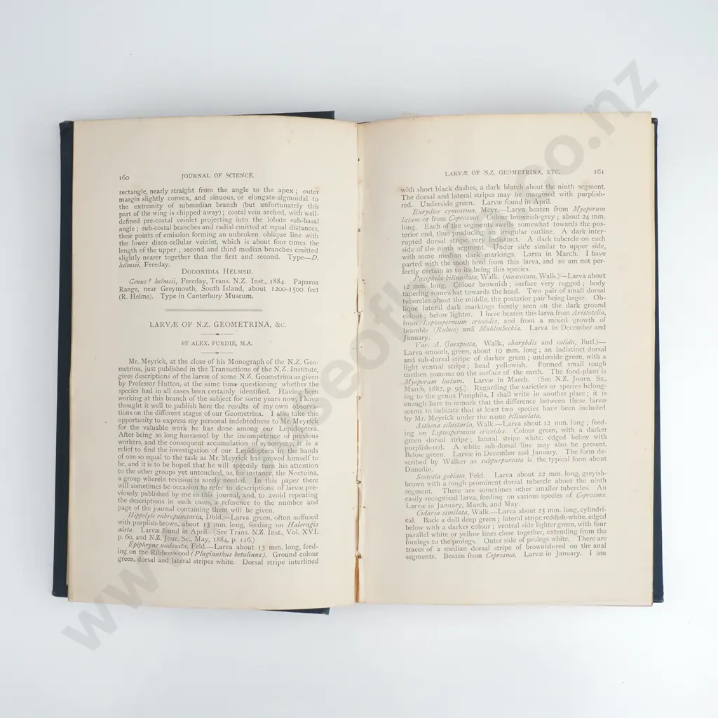 NZ Journal of Science Vol I ( 1882 - 83) & Vol II ( 1884 - 85) Image 1++