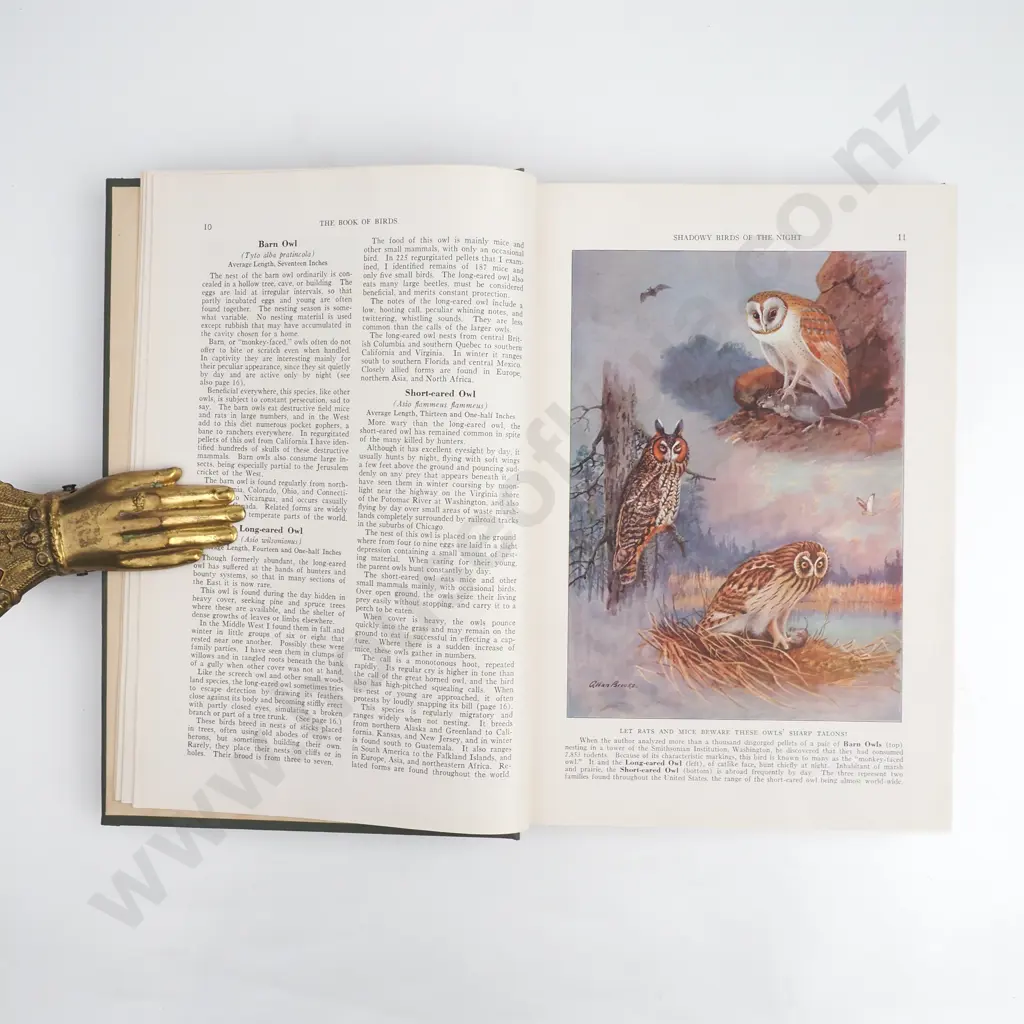 The Book of Birds Vol I & II, National Geographic Society, 1937 Hardcover Image 1++