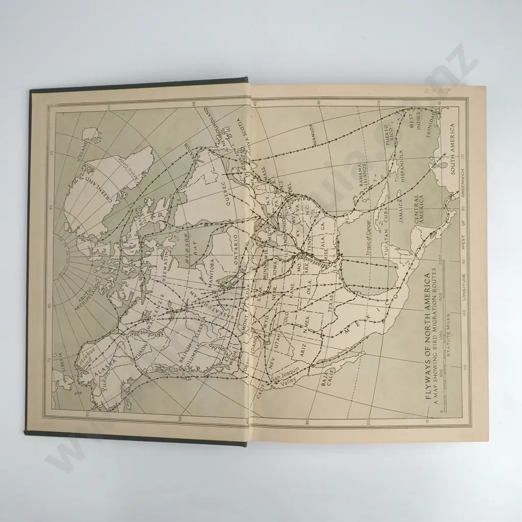 The Book of Birds Vol I & II, National Geographic Society, 1937 Hardcover Image 1++