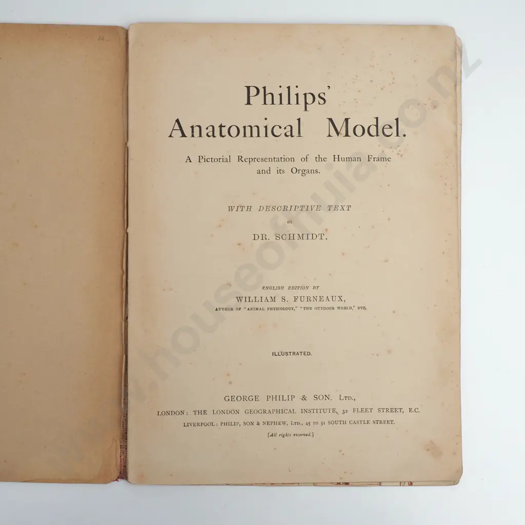 Furneaux, W. S - Philips Anatomical Model, George Philip & Son, London Image 1++