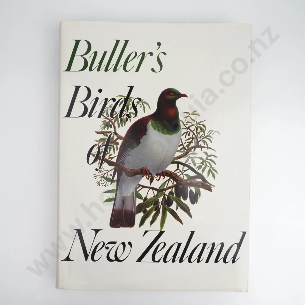 Buller's Birds of New Zealand Image 1++