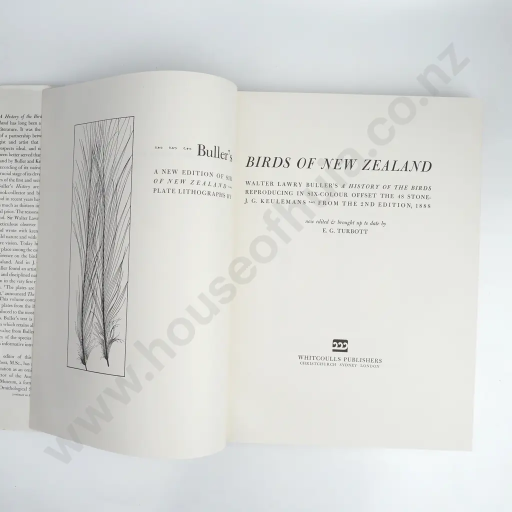 Buller's Birds of New Zealand Image 1++