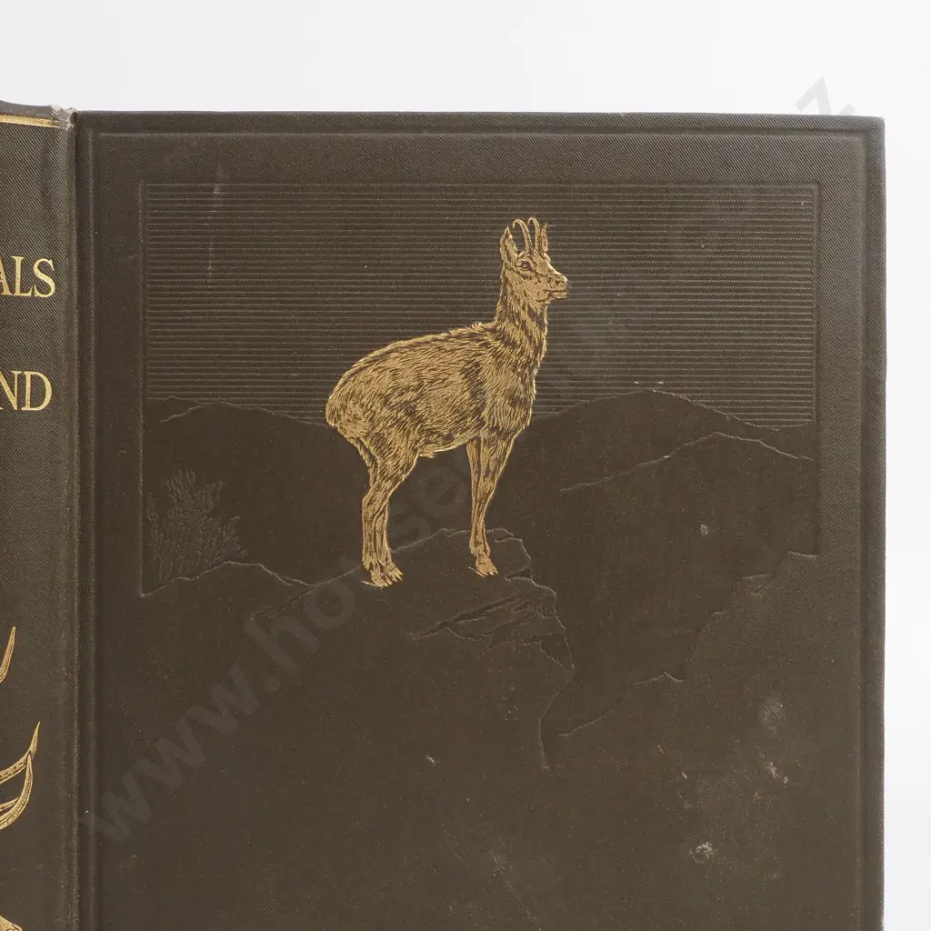 T E Donne - 'Game Animals of New Zealand,' An Account of their Introduction 1st ed Image 1++
