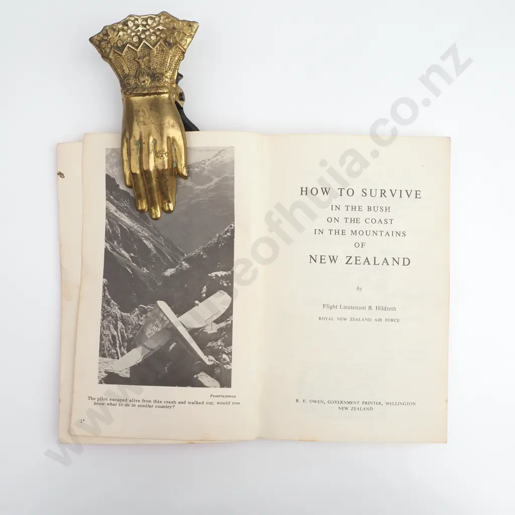 Hildreth, Flight Lieutenant B.; How To Survive ... Image 1++