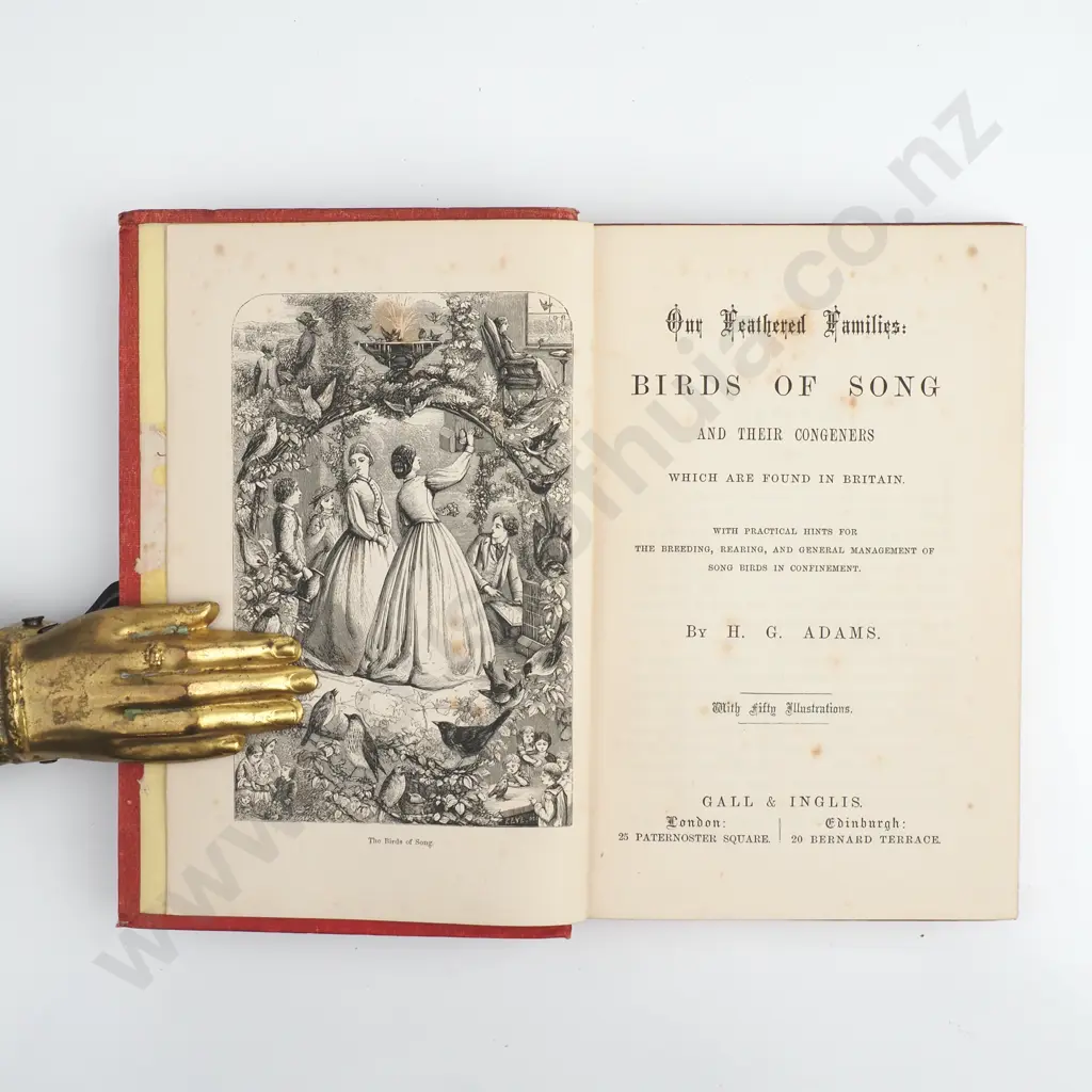 Adams, H. G.; Birds of Song Image 1++