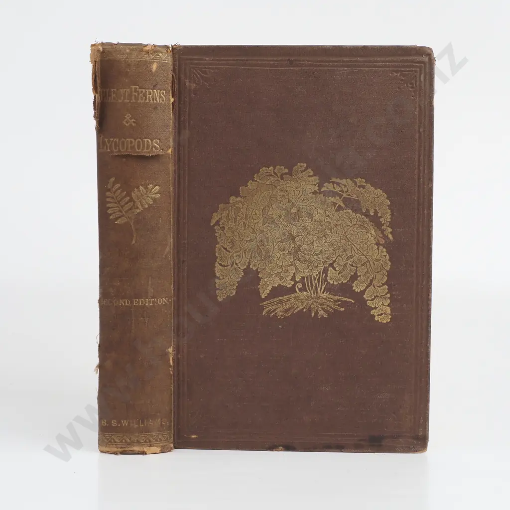 B.S. Williams - 'Select Ferns and Lycopods: British and Exotic.' Image 1++