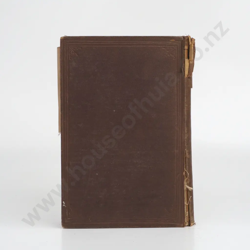 B.S. Williams - 'Select Ferns and Lycopods: British and Exotic.' Image 1++