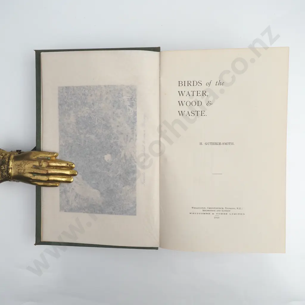 H Guthrie Smith,  Birds of the Water Wood & Waste Image 1++