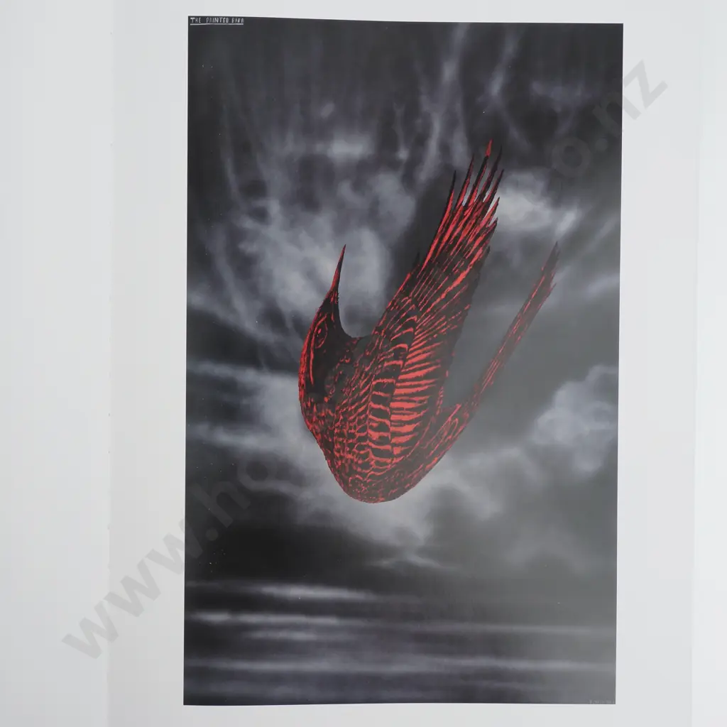 Shane Cotton - The Hanging Sky, 1st Edition, 2013 Image 1++