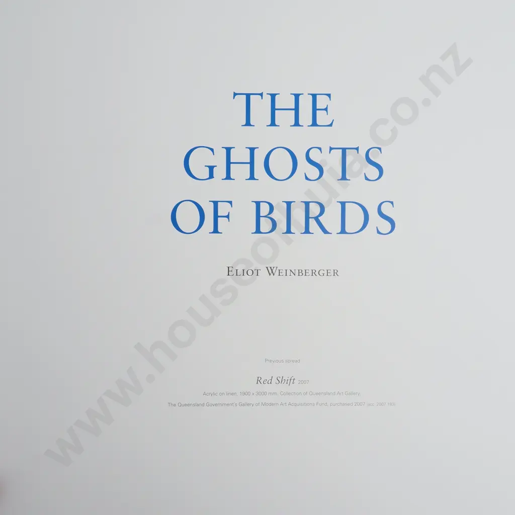 Shane Cotton - The Hanging Sky, 1st Edition, 2013 Image 1++