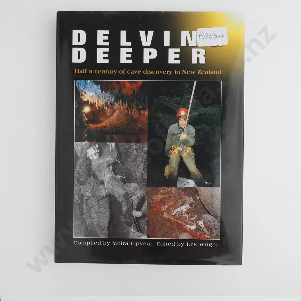 Delving Deeper Image 1++
