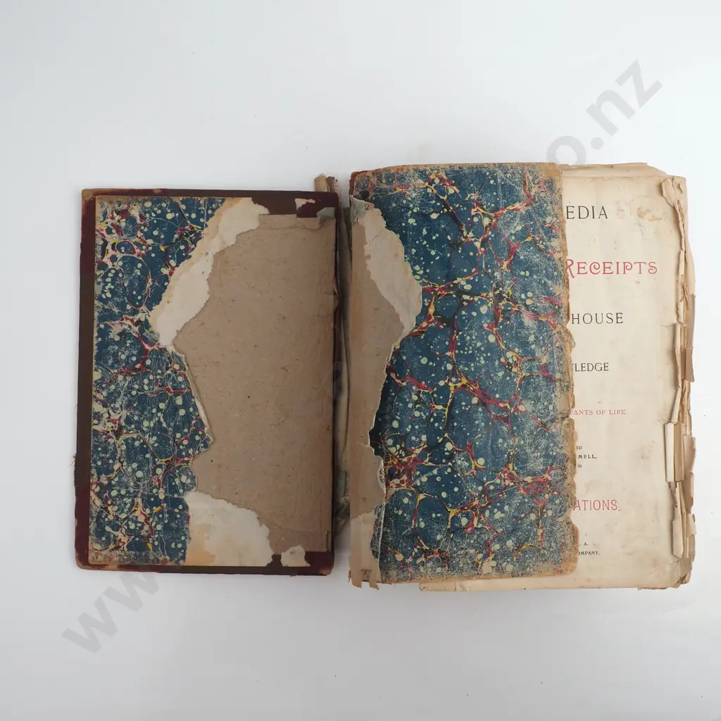 Hernry B. Scammel -'Cyclopedia of Valuable Receipts' Image 1++