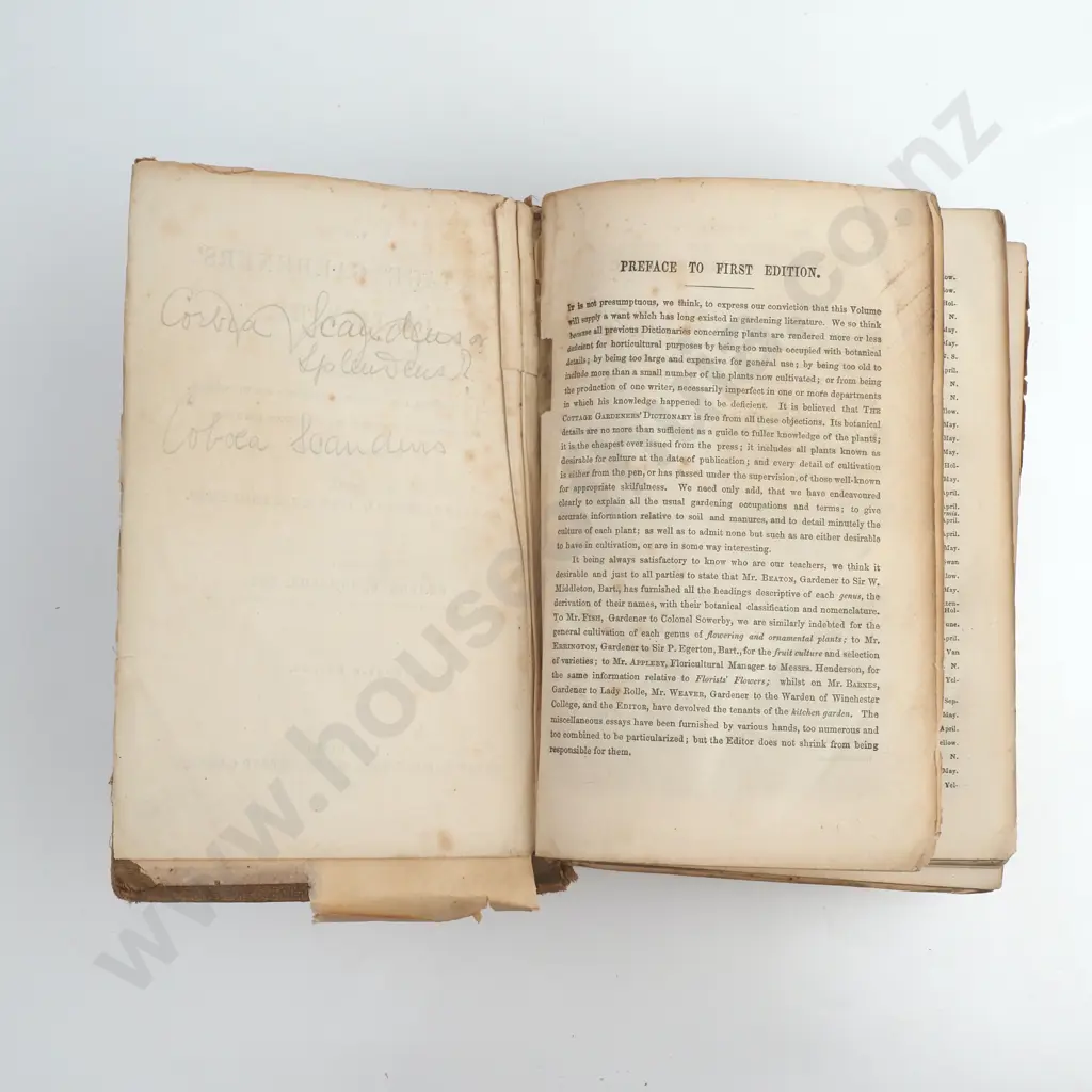 George W. Johnson, ESQ - The Cottage Gardeners' Dictionary' Image 1++